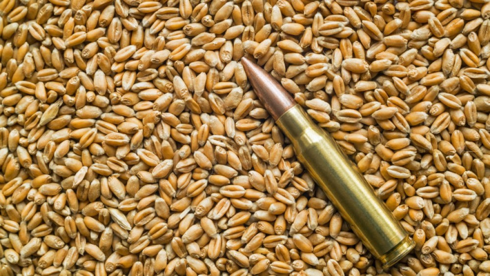 Ucraina și Rusia semnează astăzi, la Istanbul, acordul pentru „coridorul cerealelor” în Marea Neagră